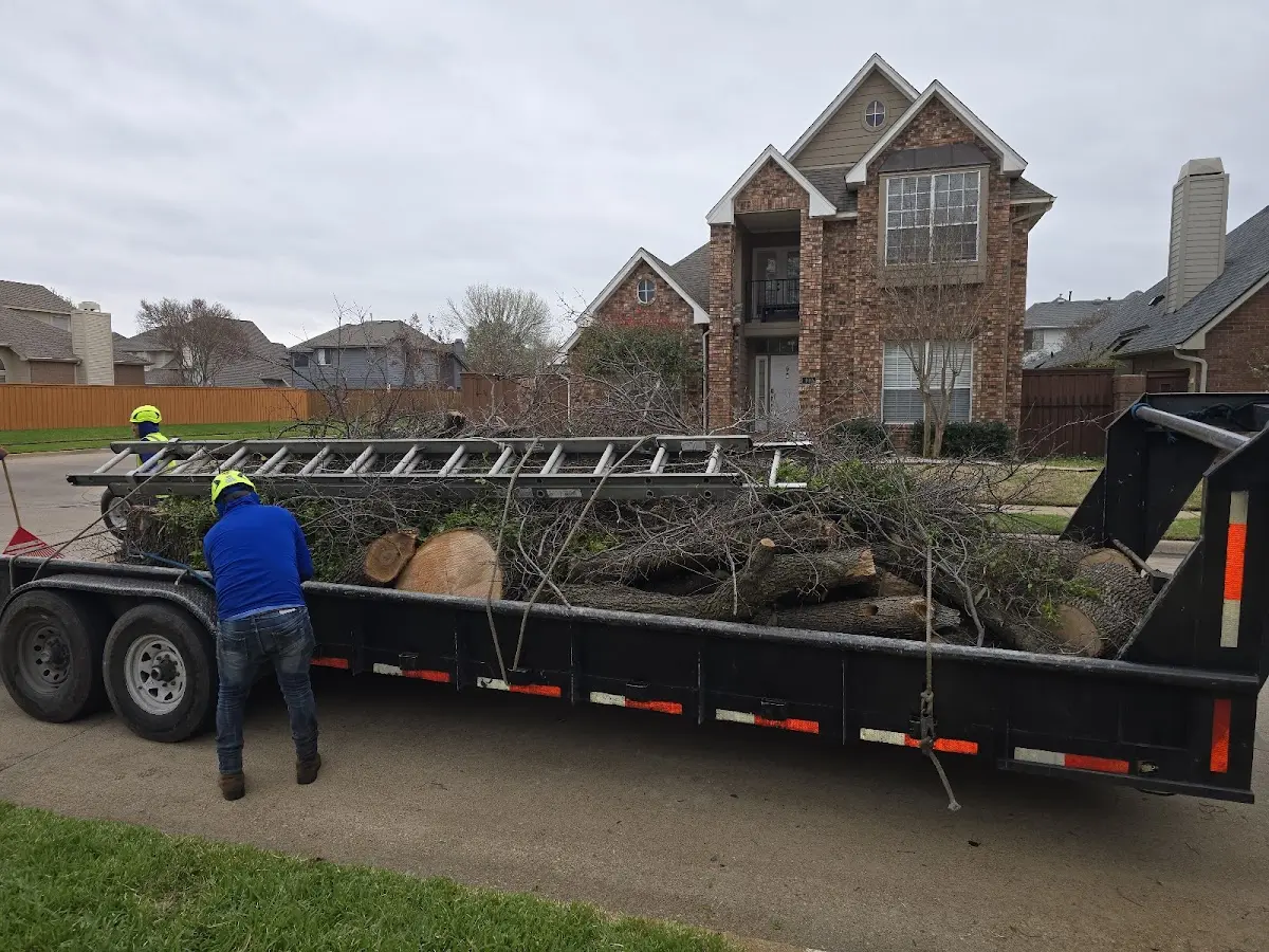 Expert Lot Clearing with proper safety equipment in Fairbury